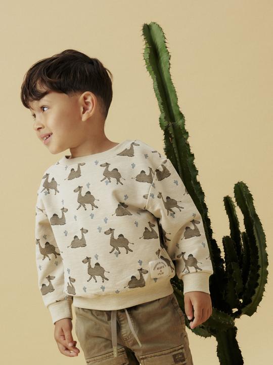 Image du produit Name it Bio-Baumwoll Sweatshirt (110)