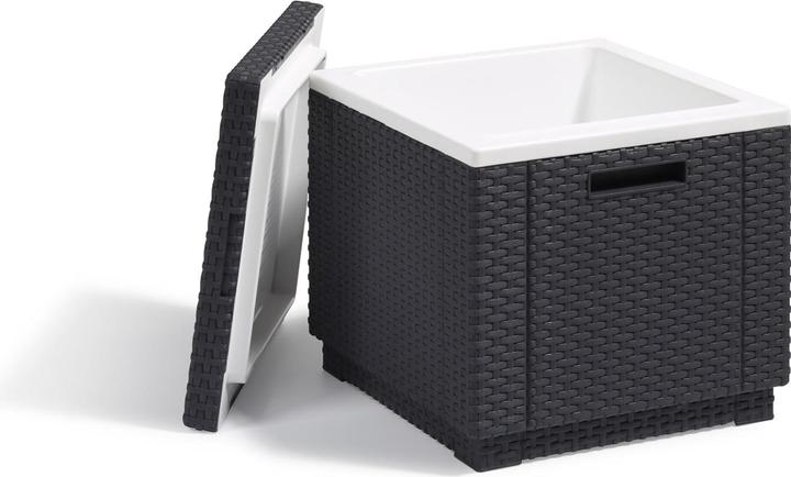 Immagine prodotto Allibert CUBO DI GHIACCIO O CUSCINO ART. 201309 - ANTRACITE (40 l)