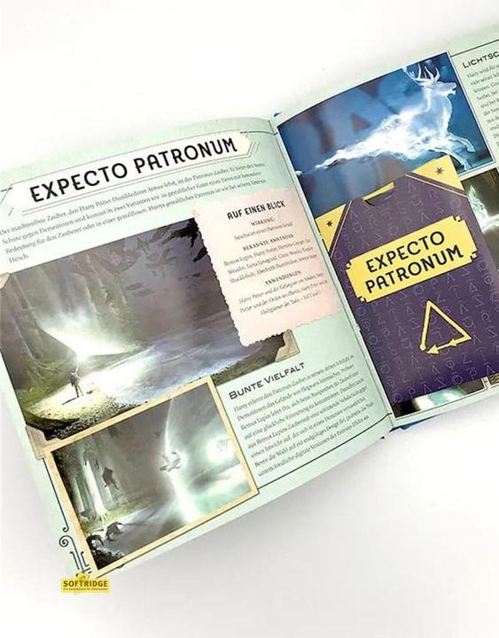 Image du produit Panini Harry Potter: Die Zaubersprüche - Das Handbuch zu den Filmen (Allemand, Jody Revenson., Barbara Knesl, Eva-Regine Rauch, 2019)