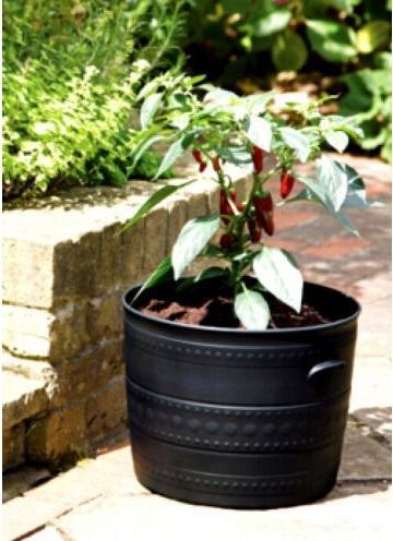 Actual product image Stewart Smithy planter (50 cm)
