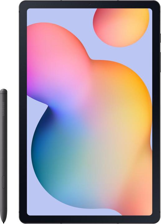 Samsung Galaxy Tab S6 Lite (2024) (WLAN uniquement, 10.40", 128 Go, Oxford Grey)
