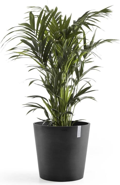 Actual product image Ecopots Amsterdam + Water reservoir (50 cm)
