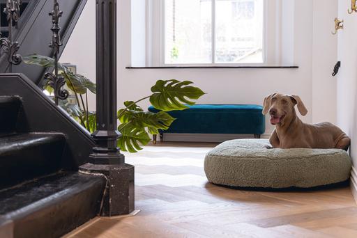 Produktbild Designed by Lotte Liegebett Ribbed (Hund)
