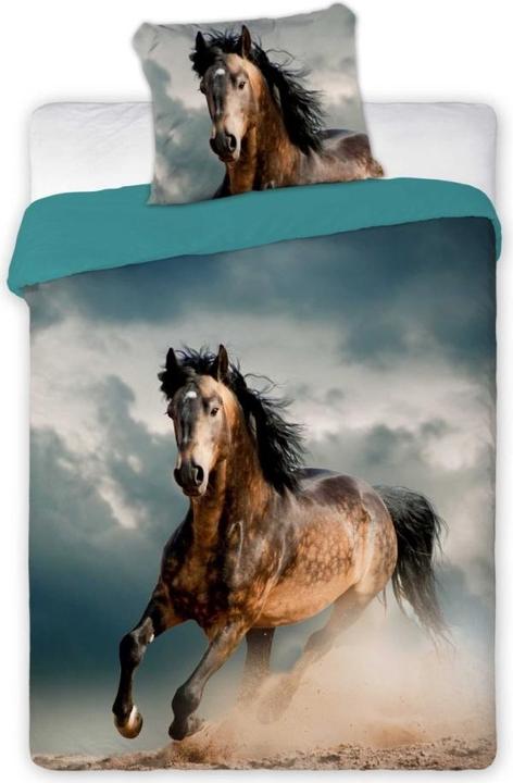 Faro Youth bed linen 05 BEST FRIENDS HORSE set 140x200cm + pillow 70x90cm