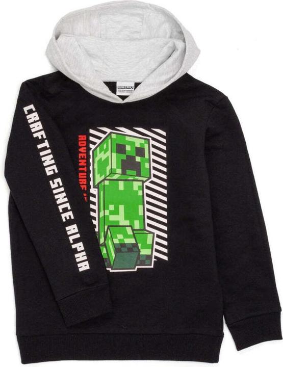 Image du produit Minecraft Sweat à capuche garçon (134)