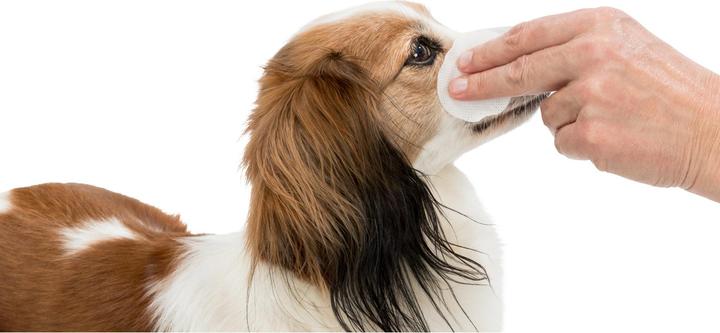 Produktbild Trixie Einweg-Pads (Hund, Katze, Nager)