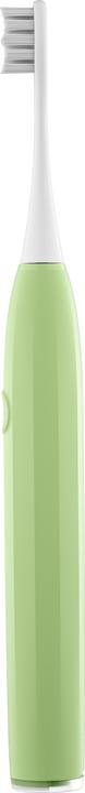Vert