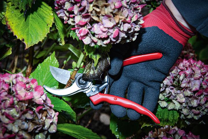 Immagine prodotto BGS Leichtmetall-Gartenschere