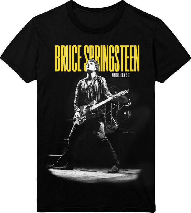 Bruce Springsteen Winterland Ballroom Guitar