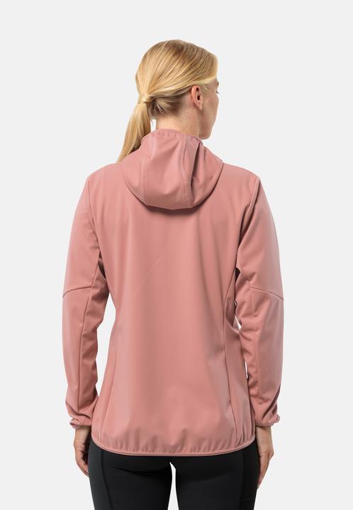 Immagine prodotto Jack Wolfskin Feldberg Hoody W (L)