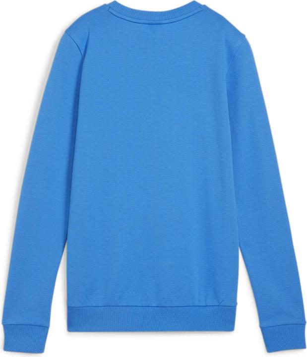 Image du produit Puma teamGOAL Casuals Crew Neck Sweat Wmn (XL)
