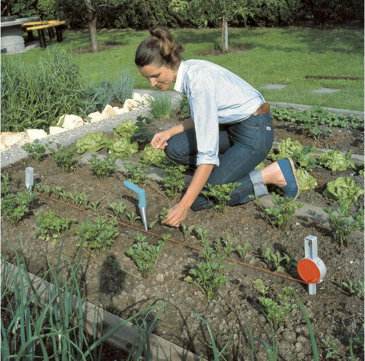 Actual product image Gardena Planter 3487