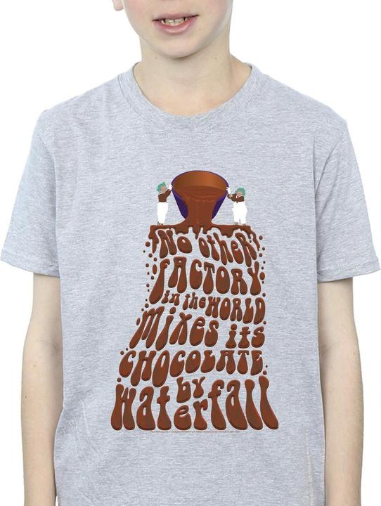 Actual product image Willy Wonka & the Chocolate Factory Boys Chocolate Waterfall T-Shirt (140, 146)
