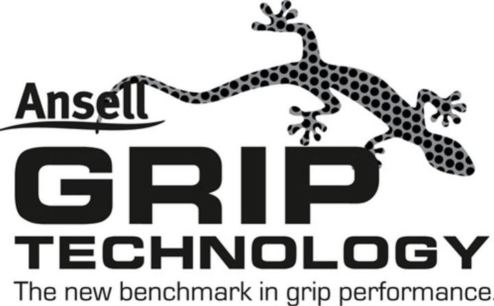 Immagine prodotto Ansell Guanti monouso in nitrile TouchNTuff 93-250 (L)