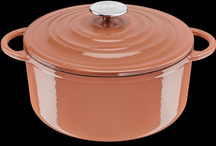 Actual product image Tefal LOV roaster (25 cm, Casserole + Stewpot, Pot, Cast iron)