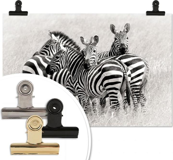 Image du produit Trenddeko Trubitsyn - Zèbres dans la savane (100 x 70 cm)