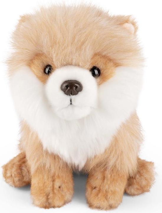 Immagine prodotto Living Nature Spitz pigmeo (20 cm)