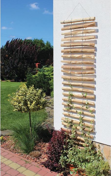 Image du produit Dobar Rankgitter (50 cm, 1.50 cm)