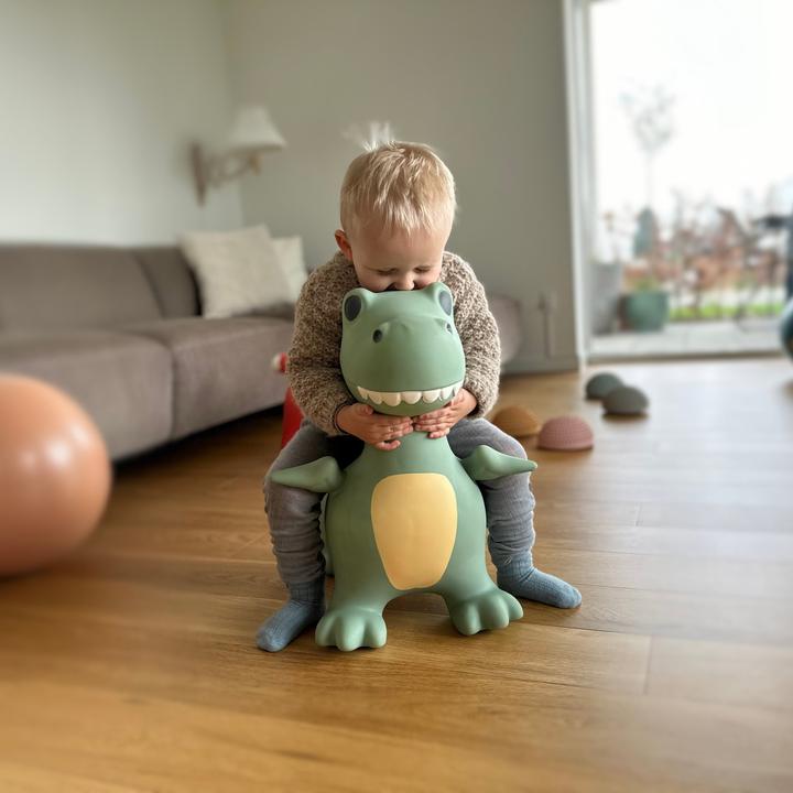 Produktbild Find That Hippo Hüpftier Dexter Dino