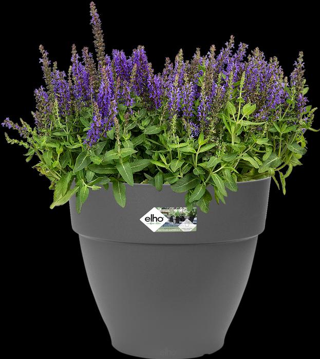 Actual product image Elho Vibia Campana (34.50 cm)