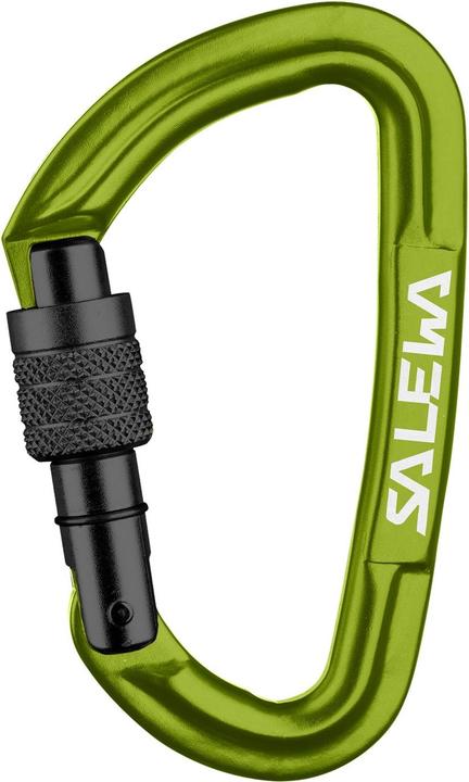 Salewa Hot G3 Screw