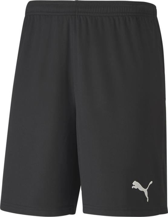 Puma Teamgoal 23 Shorts (46 E)