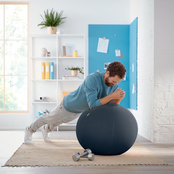 Produktbild Leitz Ergo Cosy Active Sitzball (65 cm)