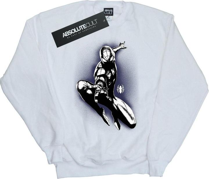 Produktbild SpiderMan Jump Spray Sweatshirt (M)