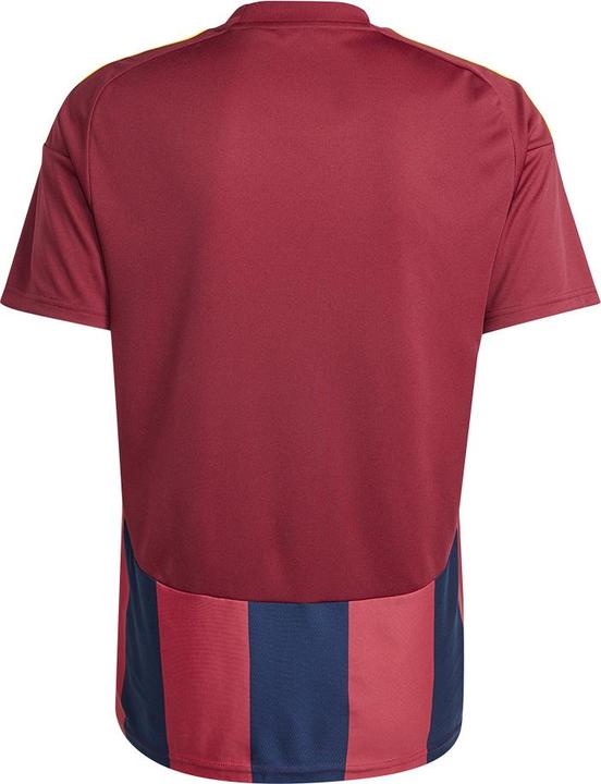 Actual product image adidas Striped 24 Jersey (XL)