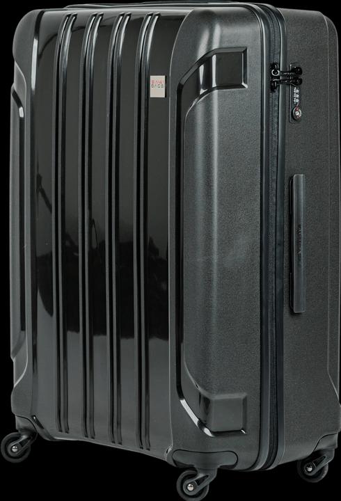 Actual product image Swissbags Tourist (110 l, L (90 - 115l))