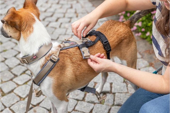 Immagine prodotto Trixie Panik-Adapter Stay für Geschirre M-L (Cane, Generale)