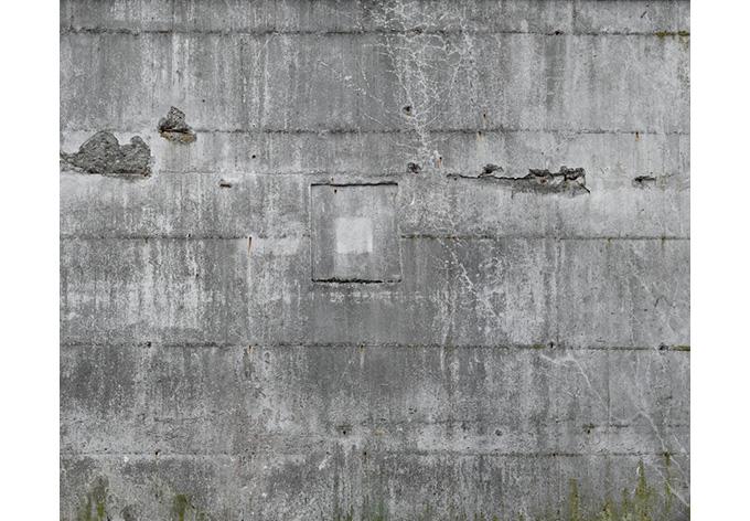 Rasch Fabbrica II Grigio calcestruzzo