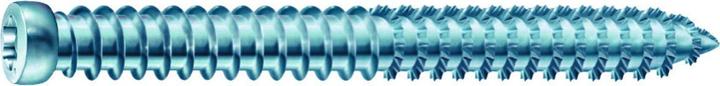 Actual product image Spax Frame anchor with cylinder head ®-RA (100 Screws per piece)