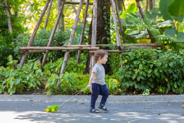 Image du produit Plantoys Alligator dansant