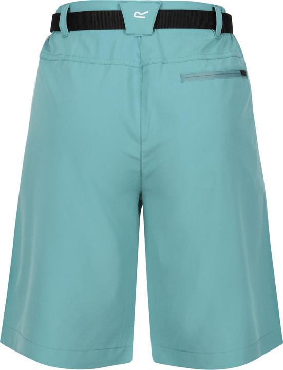 Actual product image Regatta Womens/Ladies Xert Stretch Shorts (36)