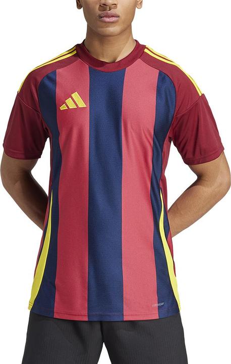 Actual product image adidas Striped 24 Jersey (3XL)