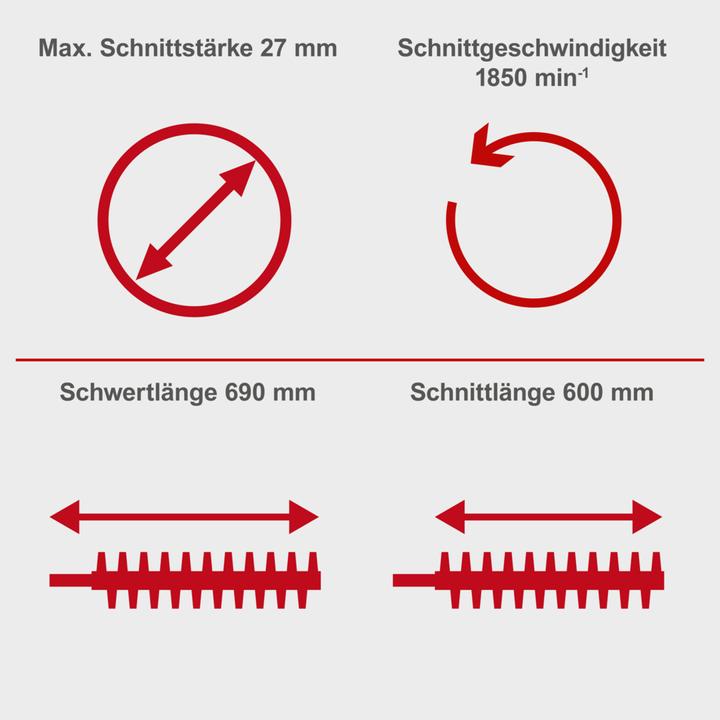 Image du produit Scheppach HTH250/240P Taille-haies 1HP (Taille-haie à essence)