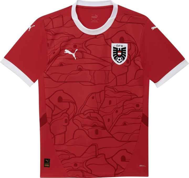 Image du produit Puma ÖFB HOME Jersey Replica Jr (128)