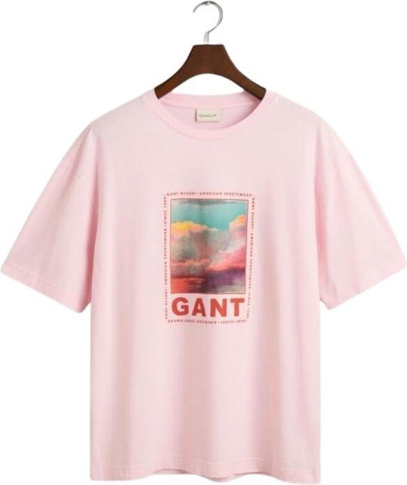 GANT t-hirt wahed graphic (S)