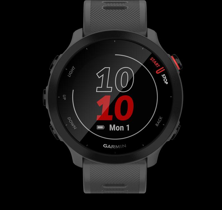 Produktbild Garmin Forerunner 55 (42 mm)