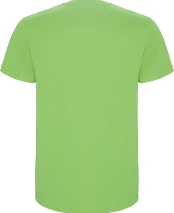 Actual product image Alpinia Mens Stafford T-Shirt (L)