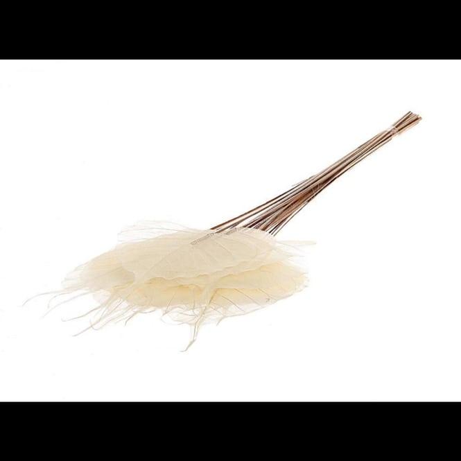 Actual product image HBX Dekoblätter - ca. 55 cm - creme/braun (55 cm)