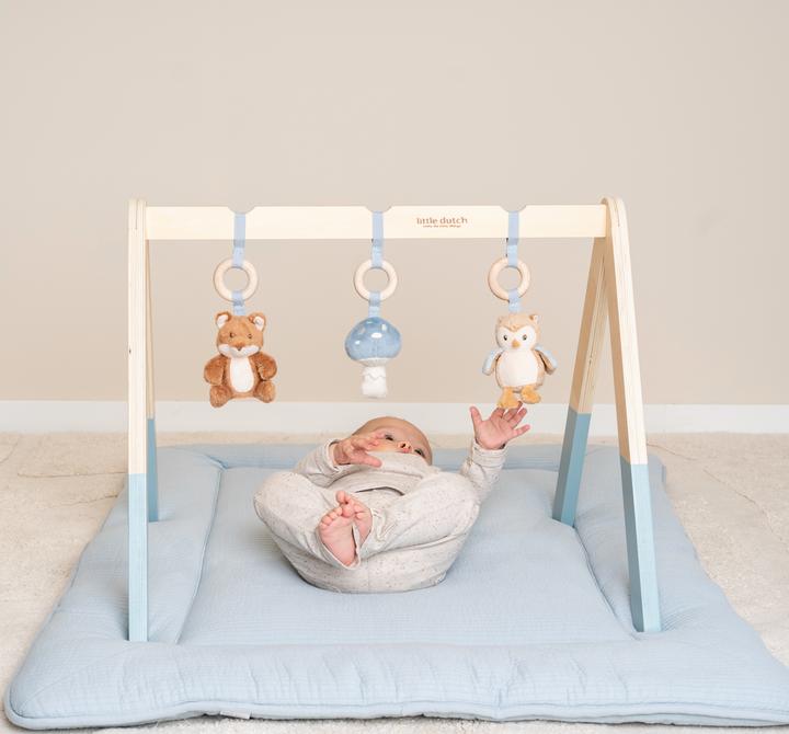 Actual product image Little Dutch Babygym Forest Friends