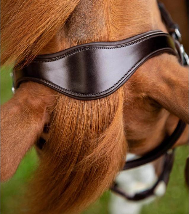 Image du produit Premier Equine bridon muserolle croisée glorioso