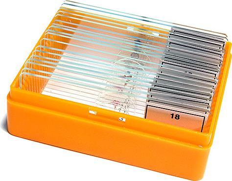 Produktbild Levenhuk N18 NG Objektträger Set
