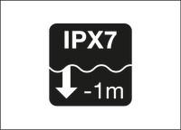 Actual product image Petzl Bindi Headlamp (200 lm)