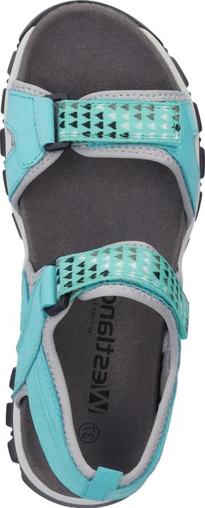 Immagine prodotto Westland 25801-TE508 (37)