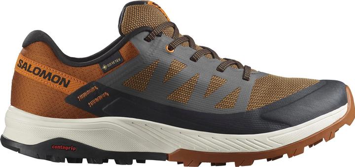 Image du produit Salomon Outrise GTX (42)
