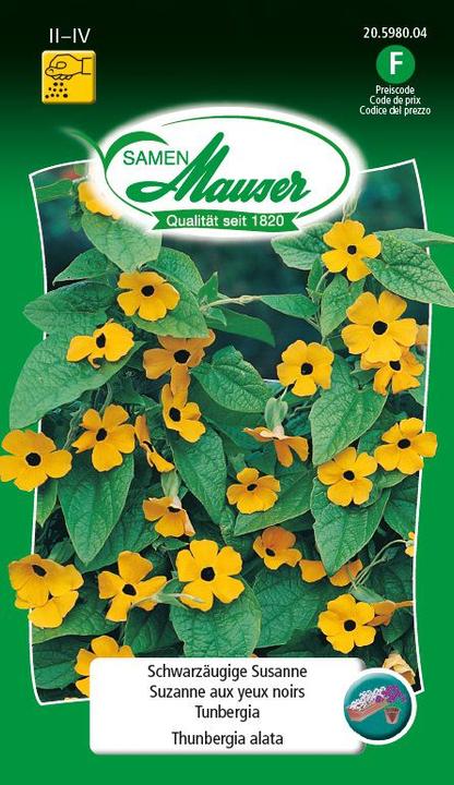 Actual product image Samen Mauser Black-eyed Susanne (Plant seeds)