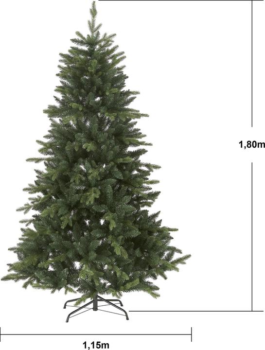 Nutritional values and ingredients Star Trading Bergen (180 cm)